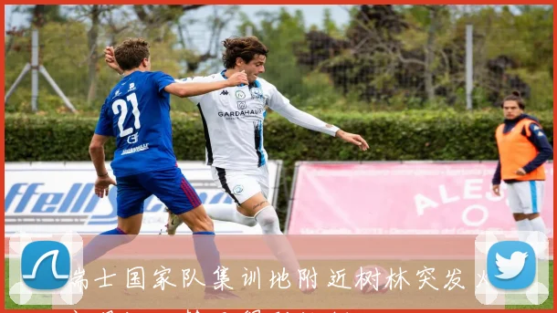 瑞士国家队集训地附近树林突发火灾现场火势已得到控制